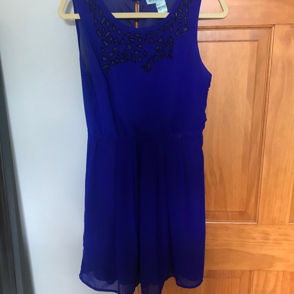Francesca's Blue Dress